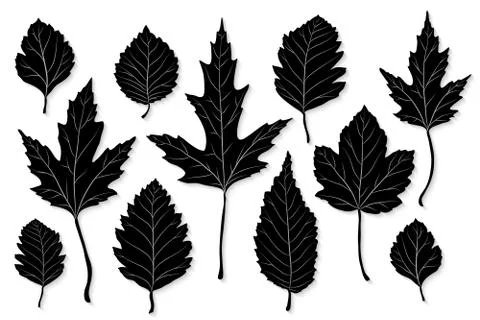 Leaves silhouette vector set Stock Illustration