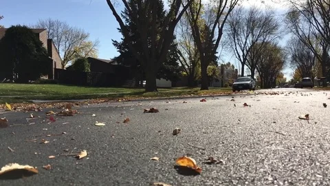 Leaves in Slow Motion over Road 스톡 동영상 81003082