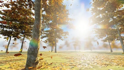 Leaves slowly falling with the wind under the sunshine in autumn Stock Footage 245257244