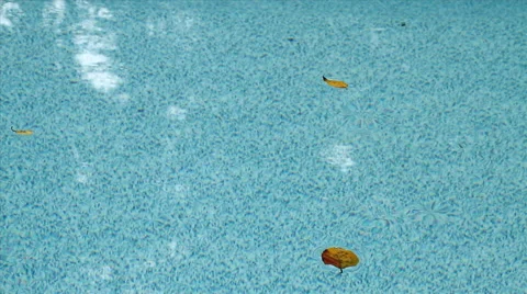 Leaves Slowly Floating in Pool Video stock 42009451