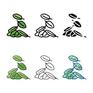 Leaves spinach color icon vector series Stock Illustration