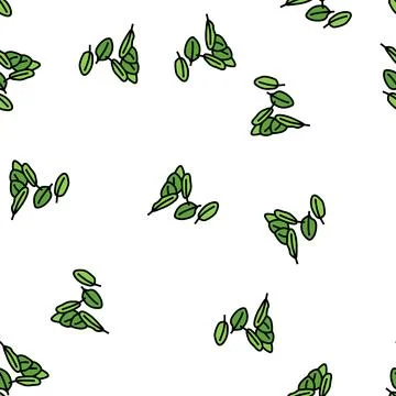 Leaves spinach vector seamless pattern Stock Illustration
