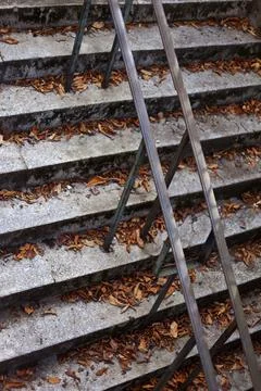 Leaves on steps Stock Photos