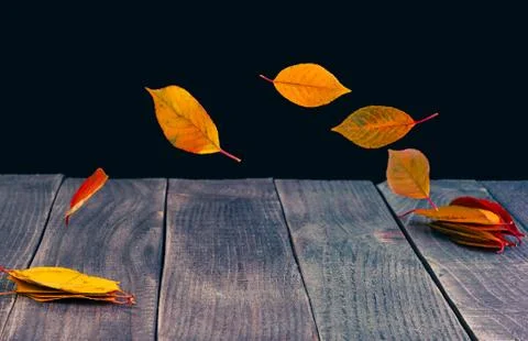 Leaves on the table Stock Photos