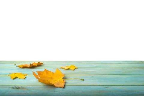 Leaves on table Stock Photos