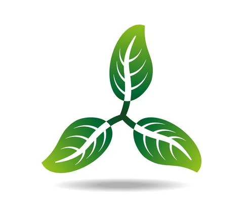 Leaves. Three-piece propeller made of green leaves Stock Illustration