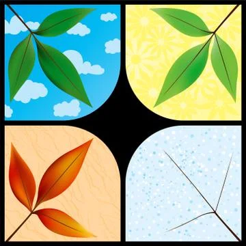 Leaves through the seasons Illustration