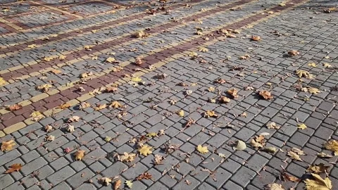 Leaves on a tiled path. The wind blows and turns over fallen yellow leaves Stock Footage 292303081