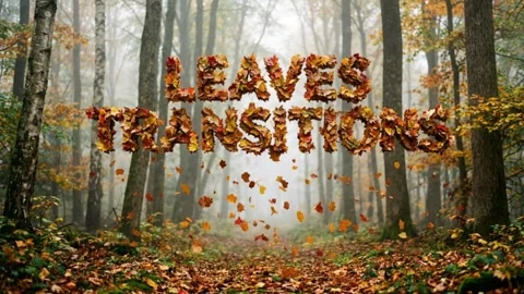 Leaves Transitions Stockmateriaal After Effects