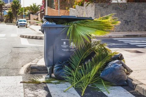 Leaves in trash bin Stock Photos