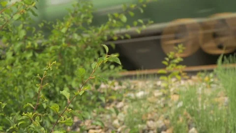 Leaves of a tree close-up. In the background, the train is not in focus Stock Footage 77865247