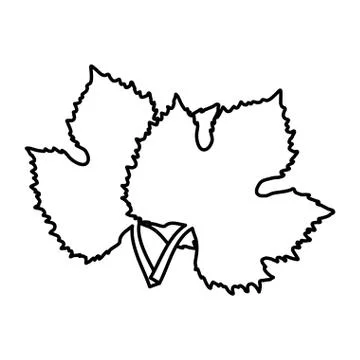 Leaves tree grape wine design Illustrazione stock