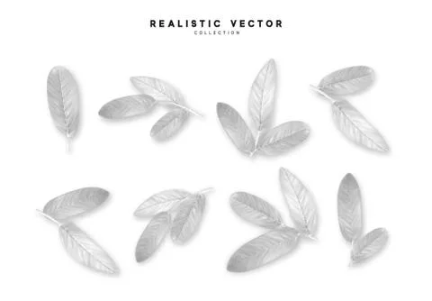Leaves from the tree realistic design elements isolated on white background.  Illustrazione stock