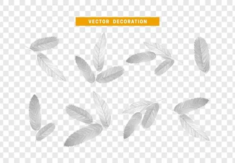 Leaves from the tree. set of realistic simple petals and leaves. Vector illus Illustrazione stock
