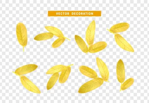 Leaves from the tree. set of realistic simple petals and leaves. Vector illus Illustrazione stock