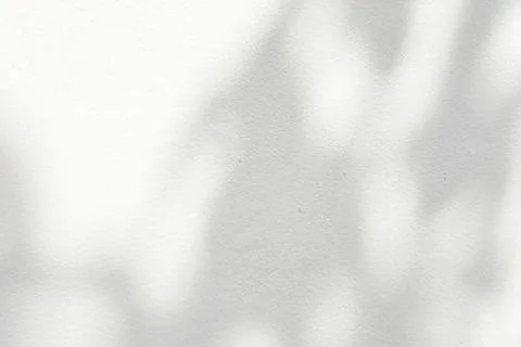 Leaves of Tree Shadow on White Concrete Wall Background Stock Illustration