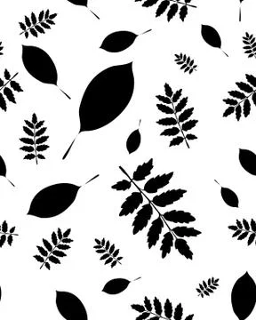 Leaves of trees Stock Illustration