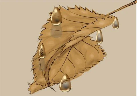 Leaves under the rain Stock Illustration