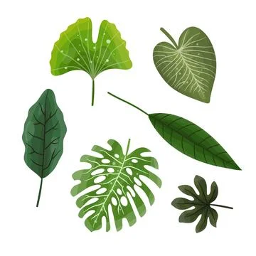 Leaves vector bundle set design illustration for ecology resources Stock Illustration