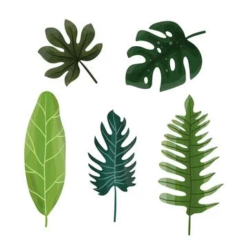 Leaves vector bundle set design illustration for ecology resources Stock Illustration