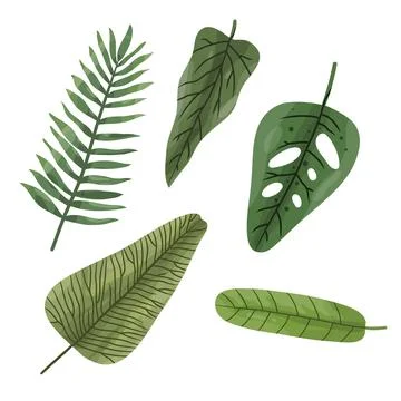 Leaves vector bundle set design illustration for ecology resources Stock Illustration