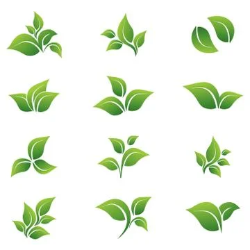 Leaves, vector, icon, set against a white background. Elements for eco bio lo Stock Illustration