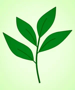 Leaves vector Stock Illustration