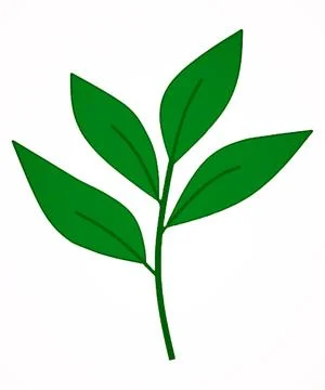 Leaves vector Stock Illustration