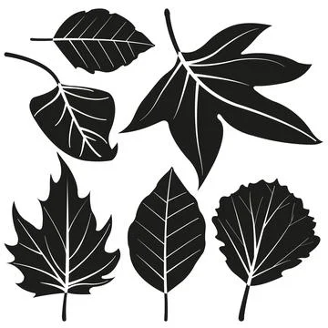 Leaves vector silhouette collection. Stock Illustration