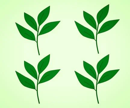 Leaves vectors Stock Illustration