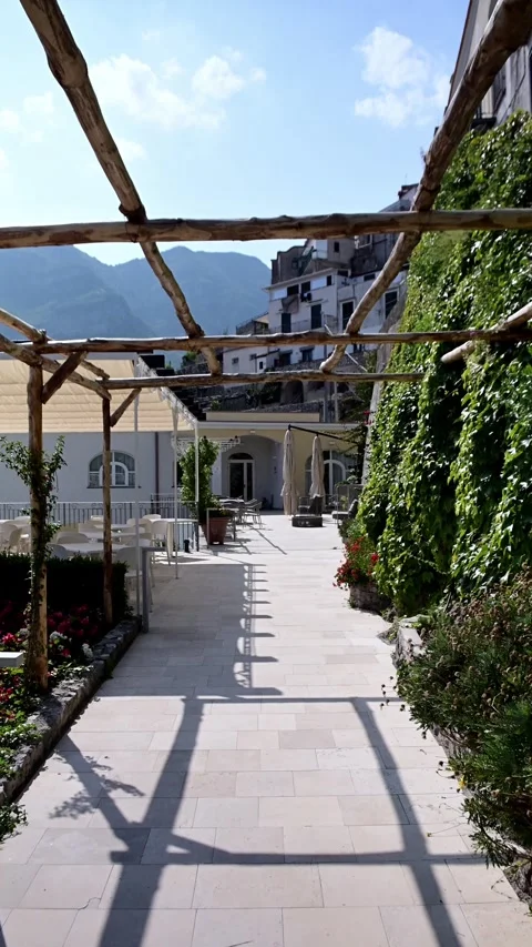 Leaves walk 스톡 동영상 312511873