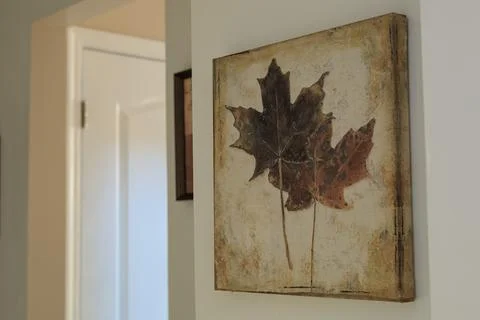 Leaves On Wall Stockfoto's