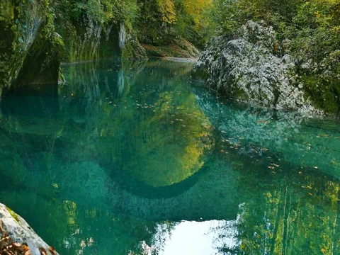 Leaves in water flowing by Vidéo 85101728