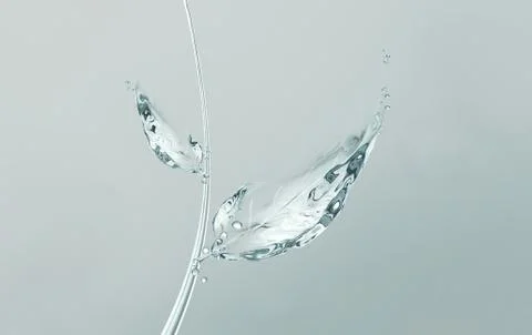 Leaves of Water Stock Illustration