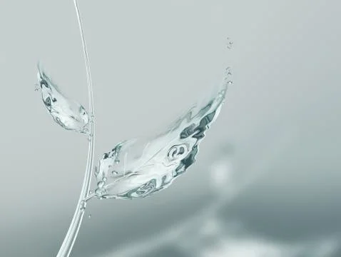 Leaves of Water Stock Illustration