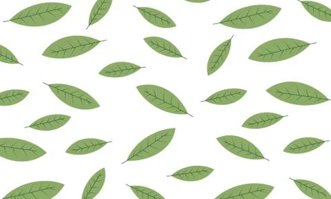 Leaves in white Background Stock Illustration