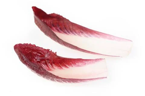 Leaves on white background Stock Photos