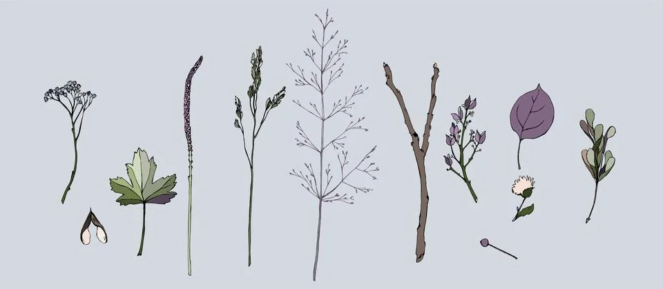 Leaves1 Stock Illustration