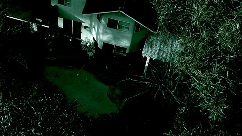 Leaves_Backyard_Zoom_Out_Effected Stock Footage 98680332