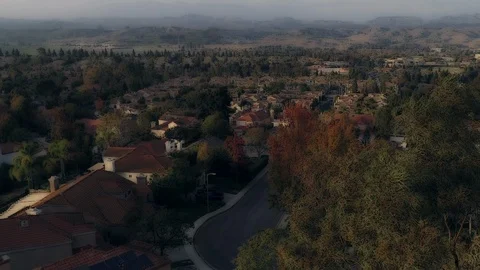 Leaves_Front_Landscape_Effected Stock Footage 98681000