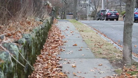 LEAVESBLOWONSIDEWALK Video stock 194574866