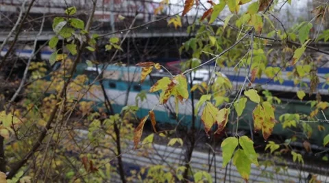 Leaving autumn train with first snow Video stock 55628582