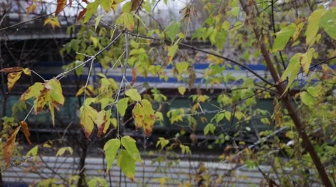 Leaving autumn train with first snow Video stock 55628614