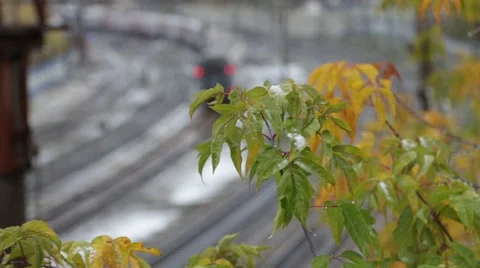 Leaving autumn train with first snow on leaf Video stock 55628681