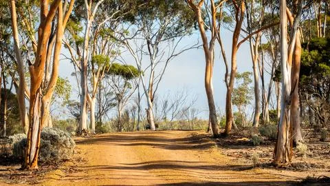Leaving Breakaways Foto stock