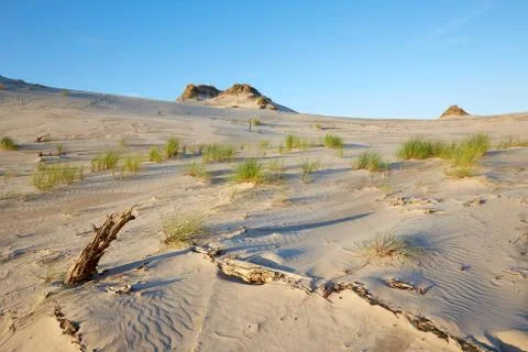 Leba sand dune Stock Photos