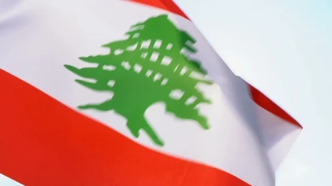Lebanese Flag Flapping Stock Footage 118964260