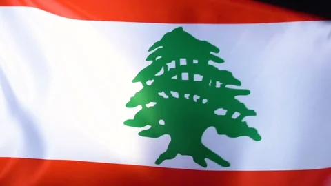 Lebanese Flag Flapping Stock Footage 118965895