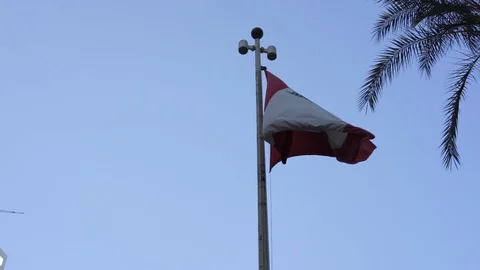 Lebanese Flag in the wind Video stock 88939124