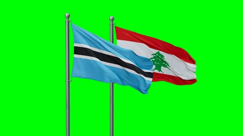 Lebanon and Botswana two flags Stock Footage 294249729